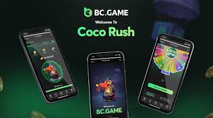 Guide to BC.Game IN Login Your Gateway to Cryptocurrency Gaming